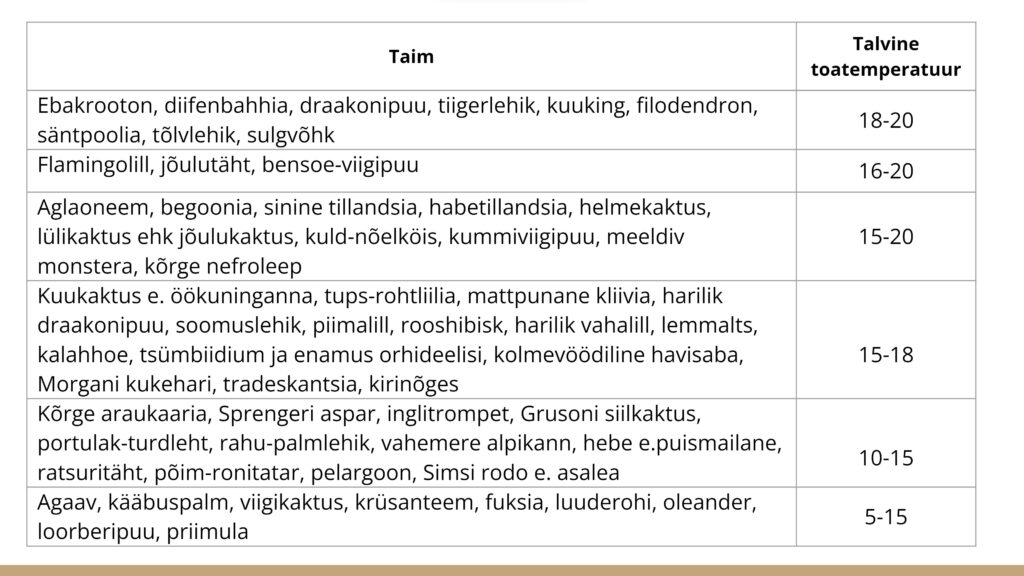 toataimed, potililled, aiandus, aiahooldus, sisehaljastus, talv